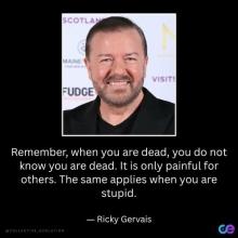 Click to Enlarge

Name: Ricky  Stupid.jpg
Size: 25 KB