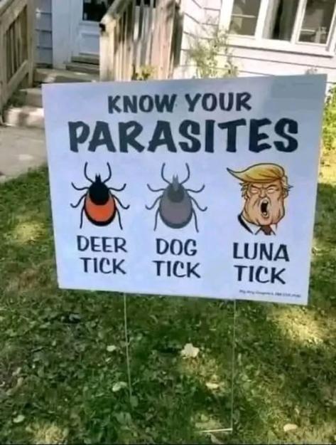 Click to Enlarge

Name: Parasites.jpg
Size: 52 KB