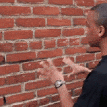 Click to Enlarge

Name: brick-wall-talking-to-a-wall.gif
Size: 39 KB
