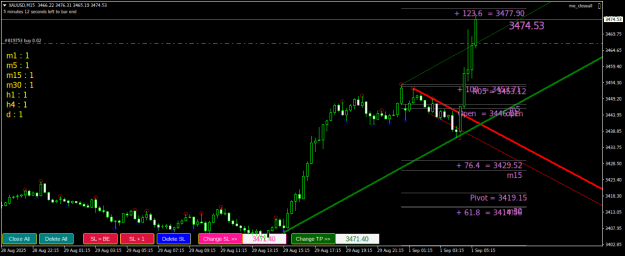 Click to Enlarge

Name: XAUUSDM15.png
Size: 25 KB
