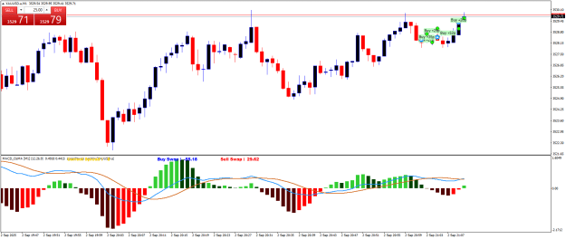 Click to Enlarge

Name: XAUUSD.aM1.png
Size: 20 KB
