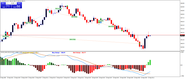 Click to Enlarge

Name: XAUUSD.aM1.png
Size: 22 KB