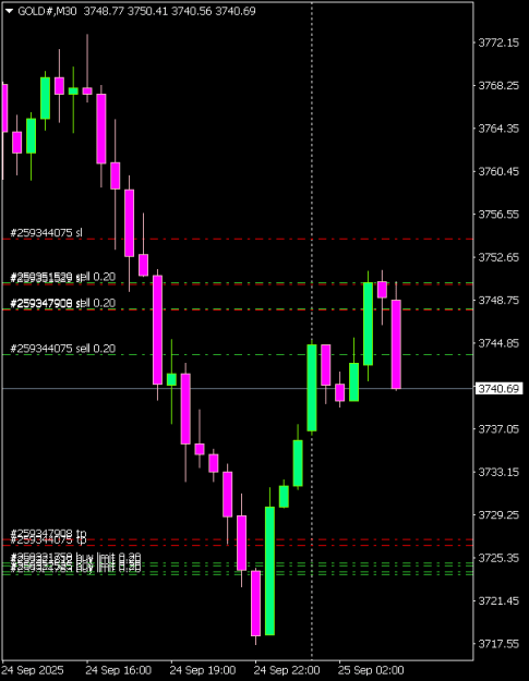 Click to Enlarge

Name: GOLD#M30 2509a.png
Size: 6 KB