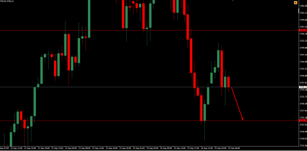 Click to Enlarge

Name: Gold Bearish.png
Size: 12 KB
