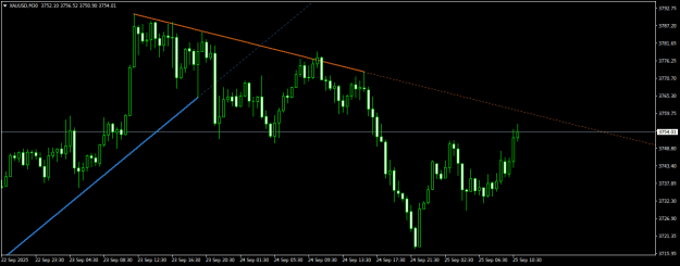 Click to Enlarge

Name: XAUUSDM30.png
Size: 13 KB