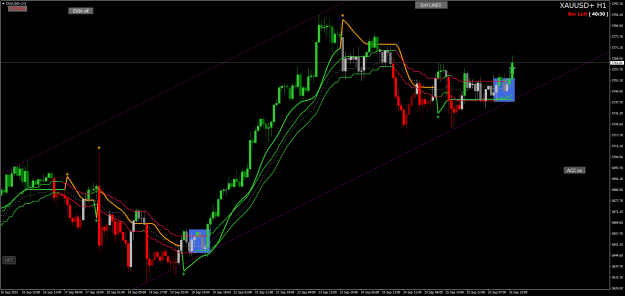 Click to Enlarge

Name: XAUUSD+H1.png
Size: 31 KB
