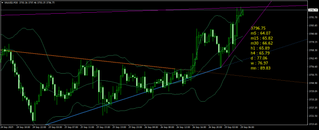 Click to Enlarge

Name: XAUUSDM30.png
Size: 22 KB