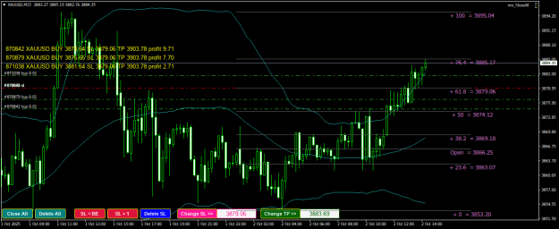 Click to Enlarge

Name: XAUUSDM15.png
Size: 27 KB