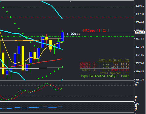 Click to Enlarge

Name: 251007 pips.png
Size: 9 KB