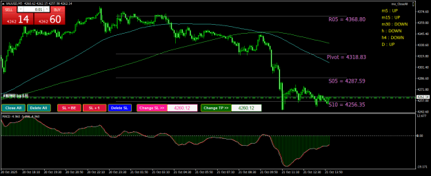 Click to Enlarge

Name: XAUUSDM5.png
Size: 24 KB