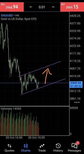 Click to Enlarge

Name: Screenshot_20251105_165929_net.metaquotes.metatrader5_edit_420177161034322.jpg
Size: 292 KB
