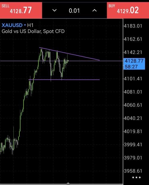 Click to Enlarge

Name: Screenshot_20251112_170133_net.metaquotes.metatrader5_edit_674448646372607.jpg
Size: 183 KB