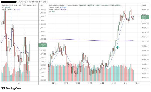 Click to Enlarge

Name: XAUUSD_2025-11-20_12-40-53_VWAP break.png
Size: 39 KB