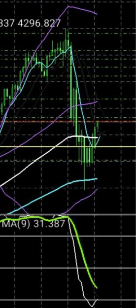 Click to Enlarge

Name: Late bear.jpg
Size: 73 KB