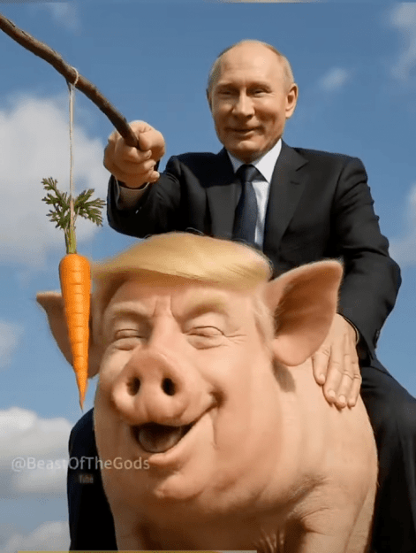 Click to Enlarge

Name: Снимок экрана 12.12.2025 в 22.25.59.png
Size: 245 KB