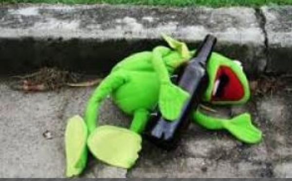 Click to Enlarge

Name: 20160613_kermit_0.JPG
Size: 33 KB
