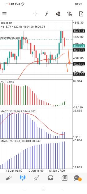 Click to Enlarge

Name: Screenshot_2026-01-13-18-23-47-318_net.metaquotes.metatrader4-edit.jpg
Size: 559 KB