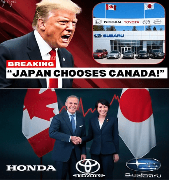 Click to Enlarge

Name: screenshot.png
Size: 152 KB