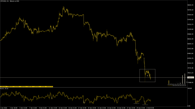 Click to Enlarge

Name: BTCUSDH1.png
Size: 58 KB