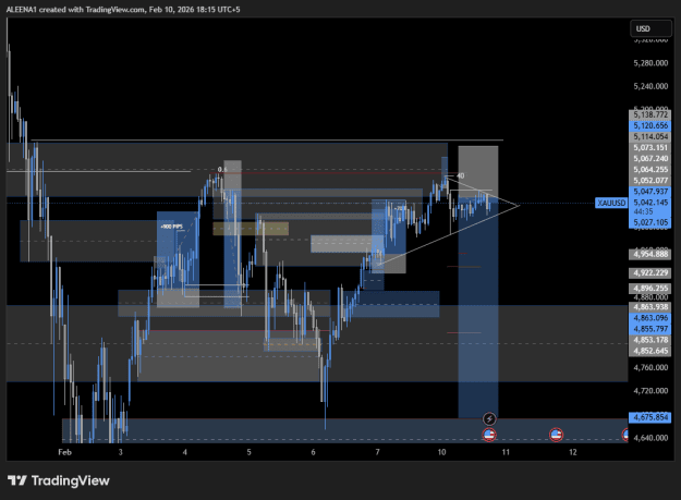 Click to Enlarge

Name: XAUUSD_2026-02-10_18-15-25.png
Size: 24 KB