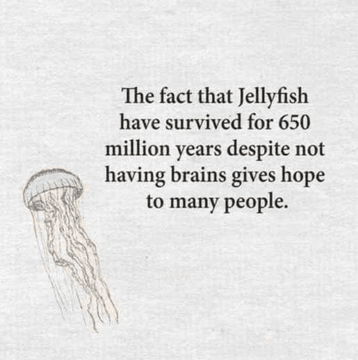 Click to Enlarge

Name: screenshot.png
Size: 114 KB