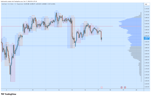 Click to Enlarge

Name: XAUUSD_2026-02-17_09-14-01.png
Size: 36 KB