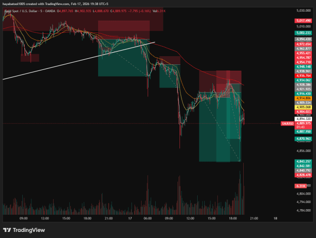 Click to Enlarge

Name: XAUUSD_2026-02-17_19-38-17.png
Size: 43 KB