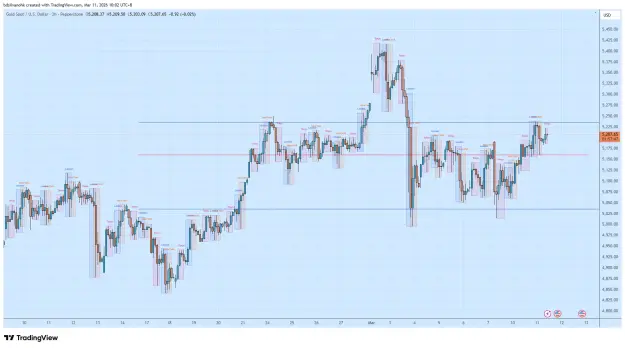 Click to Enlarge

Name: XAUUSD_2026-03-11_10-02-13.png
Size: 69 KB