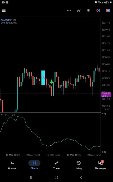 Click to Enlarge

Name: Screenshot_20260311-105806_MetaTrader 5.jpg
Size: 26 KB