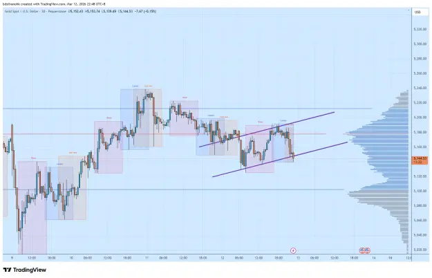 Click to Enlarge

Name: XAUUSD_2026-03-12_22-48-40.png
Size: 55 KB