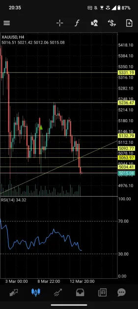 Click to Enlarge

Name: Screenshot_20260313-203558_MetaTrader_4.jpg
Size: 91 KB