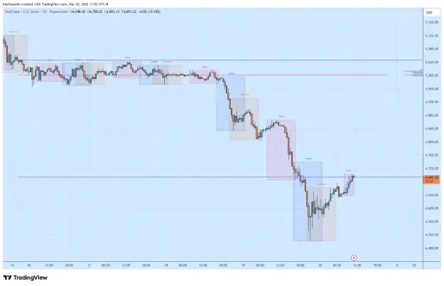 Click to Enlarge

Name: XAUUSD_2026-03-20_11-02-40.png
Size: 46 KB