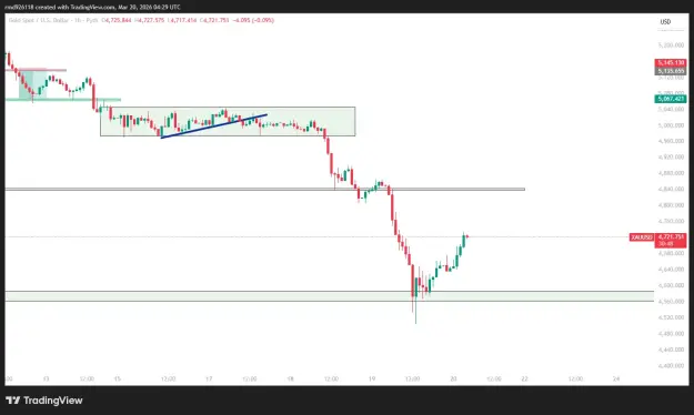 Click to Enlarge

Name: XAUUSD_2026-03-20_10-29-13.png
Size: 27 KB