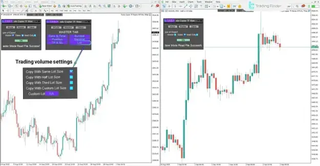 Click to Enlarge

Name: screenshot.webp
Size: 23 KB