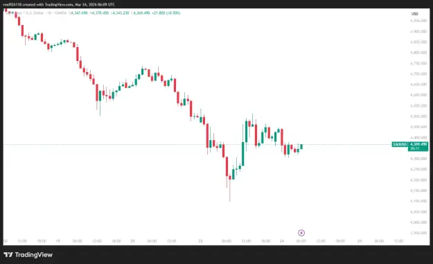 Click to Enlarge

Name: XAUUSD_2026-03-24_12-09-29.png
Size: 25 KB