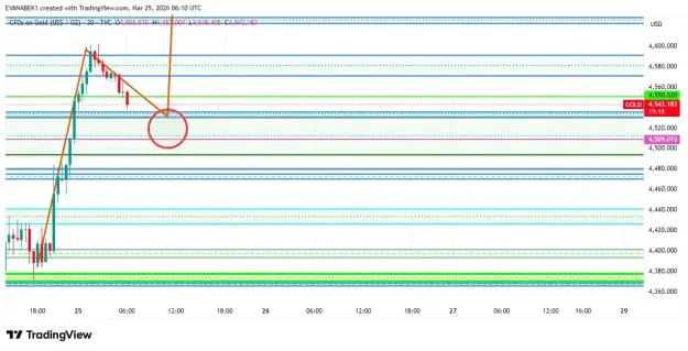 Click to Enlarge

Name: screenshot.webp
Size: 51 KB