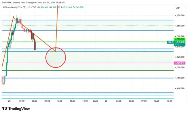 Click to Enlarge

Name: screenshot.webp
Size: 36 KB