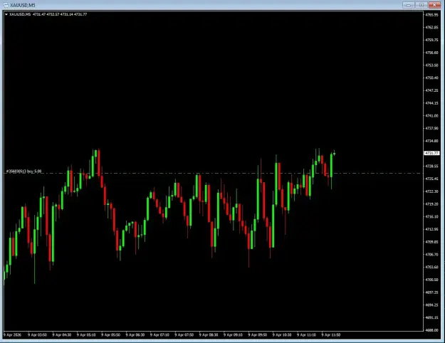 Click to Enlarge

Name: screenshot.webp
Size: 26 KB