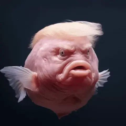 Click to Enlarge

Name: fool.gif
Size: 101 KB