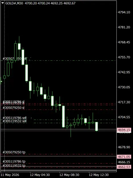 Click to Enlarge

Name: GOLD#M30 1205d.png
Size: 30 KB