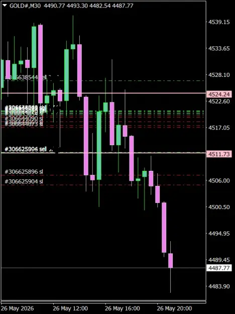 Click to Enlarge

Name: GOLD#M30 2605e.png
Size: 31 KB