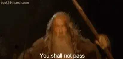 Click to Enlarge

Name: you-shall-not-pass-lord-of-the-ring.gif
Size: 142 KB