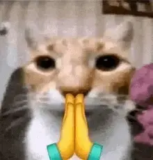 Click to Enlarge

Name: 3577993069853525413.gif
Size: 5 KB