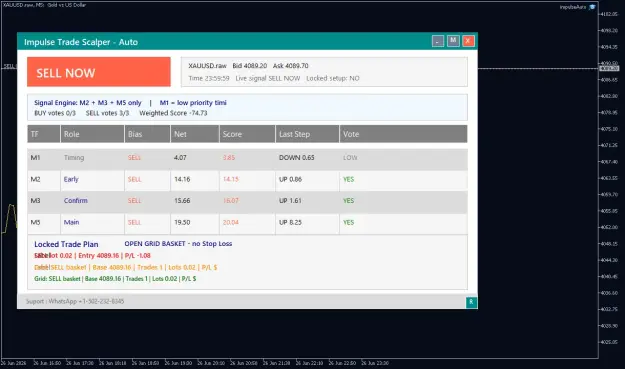 Click to Enlarge

Name: XAUUSD.rawM5.png
Size: 38 KB