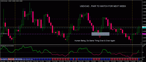 Click to Enlarge

Name: usdcad 4.gif
Size: 34 KB