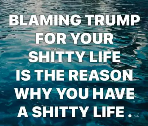 Click to Enlarge

Name: Shitty life.png
Size: 29 KB