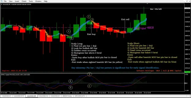 Click to Enlarge

Name: Scalping chart _ XAUUSD.jpg
Size: 67 KB