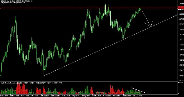 Click to Enlarge

Name: gold.JPG
Size: 81 KB