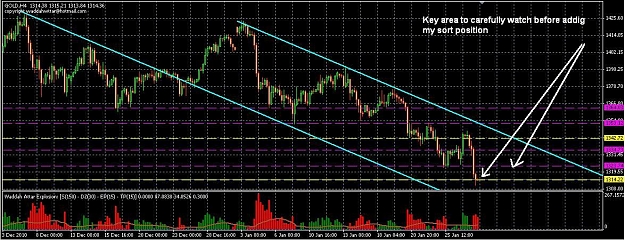 Click to Enlarge

Name: gold-h4.JPG
Size: 147 KB