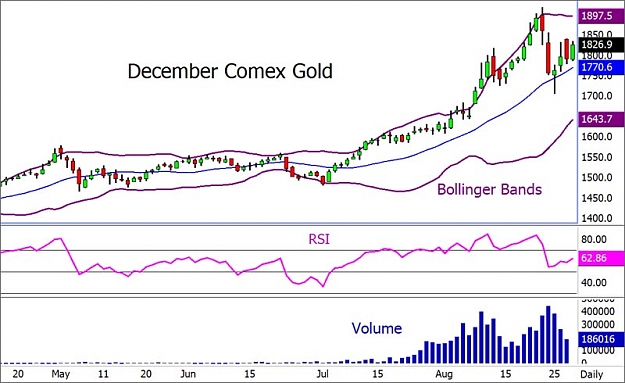 Click to Enlarge

Name: gold2a.jpg
Size: 64 KB